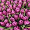 Тюльпани